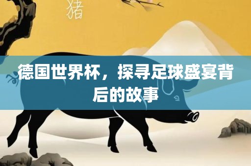 德国世界杯，探寻足球盛宴背后的故事