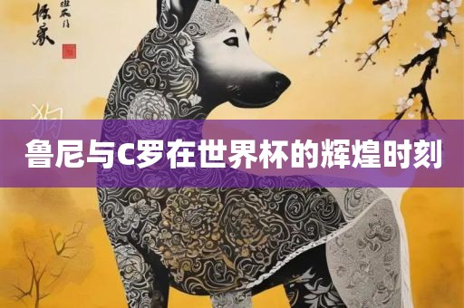 眉山市正发家政服务有限公司鲁尼与C罗在世界杯的辉煌时刻