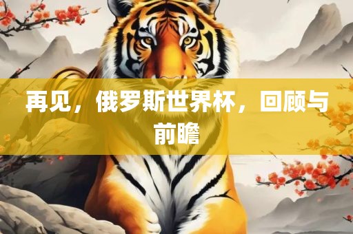 再见，俄罗斯世界杯，回顾与前瞻