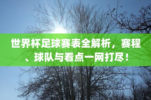 世界杯足球赛表全解析，赛程、球队与看点一网打尽！眉山市正发家政服务有限公司