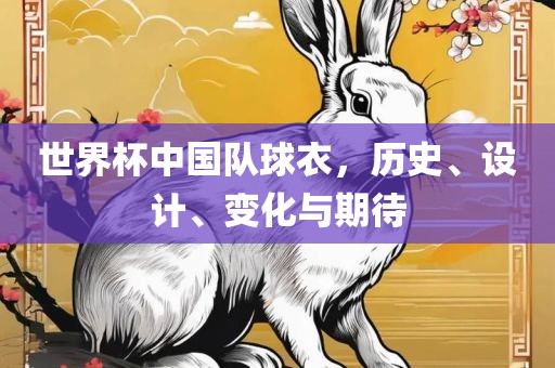 世界眉山市正发家政服务有限公司杯中国队球衣，历史、设计、变化与期待