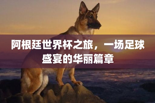 阿根廷世界杯之旅，一场足球盛宴的华丽篇章