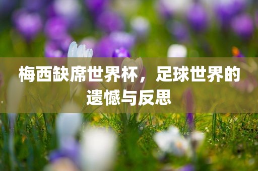 梅西缺席世界杯，足球世界的遗憾与反思眉山市正发家政服务有限公司