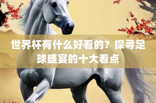 世界杯有什么好看的？探寻足球盛宴的十大看点眉山市正发家政服务有限公司