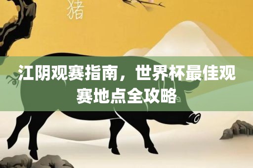 江阴观赛指南，世界杯最佳观赛地点全攻略眉山市正发家政服务有限公司