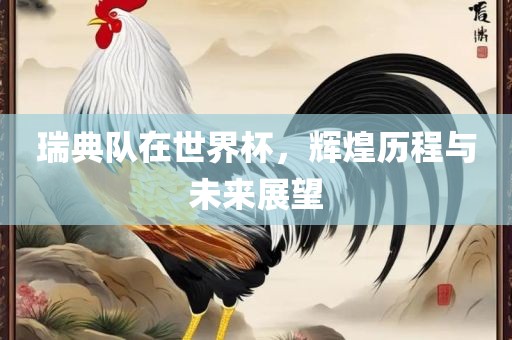 瑞典队在世界杯，辉煌历程与未来展望眉山市正发家政服务有限公司