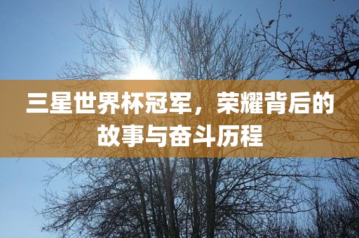 三星世界杯冠军，荣耀背后的故事与奋斗历程眉山市正发家政服务有限公司