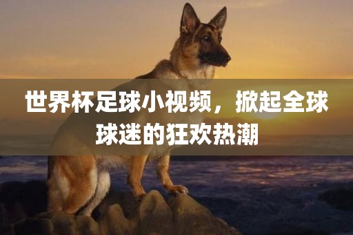 世界杯足球小视频，掀起全球球迷的狂欢热潮眉山市正发家政服务有限公司