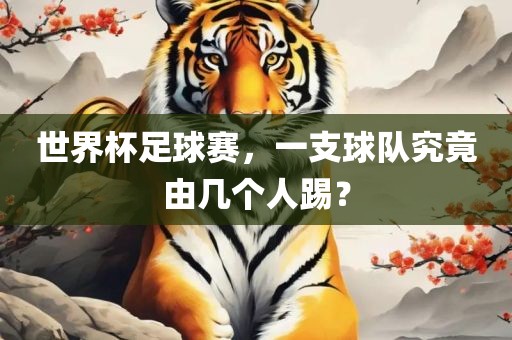 世界杯足球赛，一支眉山市正发家政服务有限公司球队究竟由几个人踢？