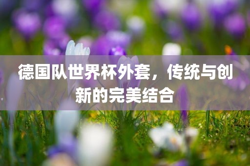 德国队世眉山市正发家政服务有限公司界杯外套，传统与创新的完美结合