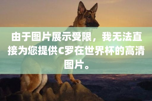 由于图片展示受限，我无法直接为您提供C罗在世界杯的高清图片。眉山市正发家政服务有限公司