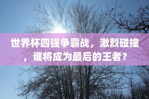 世界杯四强争霸战，激烈碰撞，谁将成为最后的王者？眉山市正发家政服务有限公司