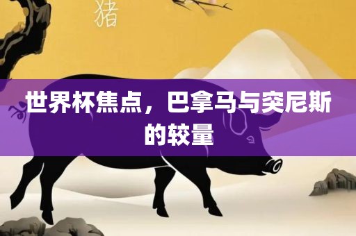 世界杯焦点，巴拿马与突眉山市正发家政服务有限公司尼斯的较量