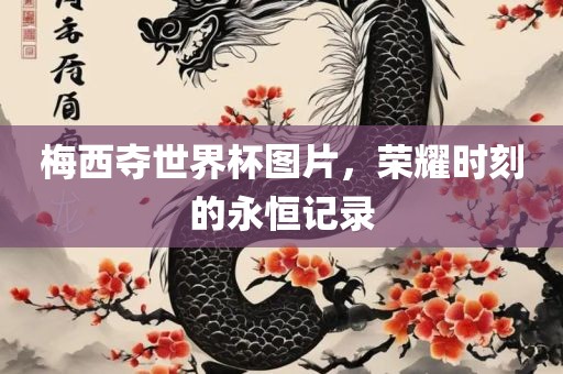 梅西夺世界杯图片，荣耀时刻的永恒记录眉山市正发家政服务有限公司