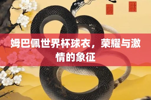 姆巴佩世界杯球衣，荣耀与激情的象征眉山市正发家政服务有限公司