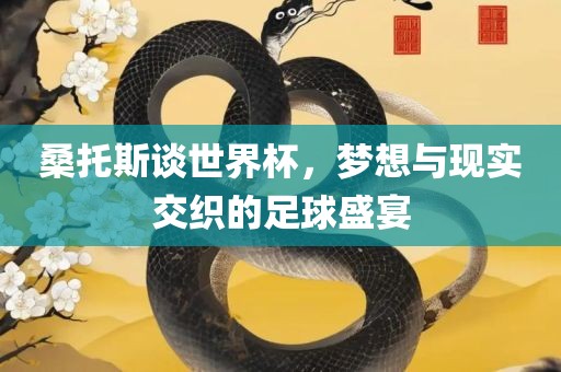 桑托斯谈世界杯，梦想与现实交织的足球盛宴眉山市正发家政服务有限公司