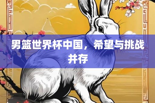 男篮世界杯中国，希望与挑战并存眉山市正发家政服务有限公司