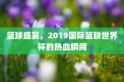 篮球盛宴，2019国际篮联世界杯的热血瞬间眉山市正发家政服务有限公司