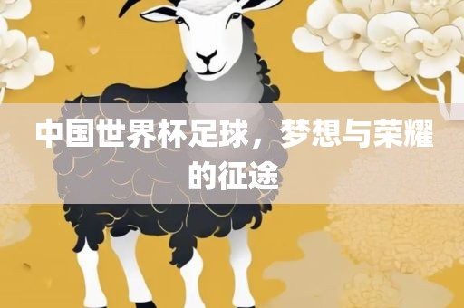 中国世界杯足球，梦想与荣耀的征途眉山市正发家政服务有限公司