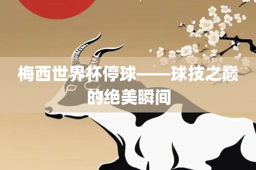 梅西世界杯停球——球技之巅的绝美瞬间眉山市正发家政服务有限公司