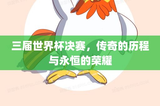 三届世界杯决赛，传奇的历程与永恒的荣耀