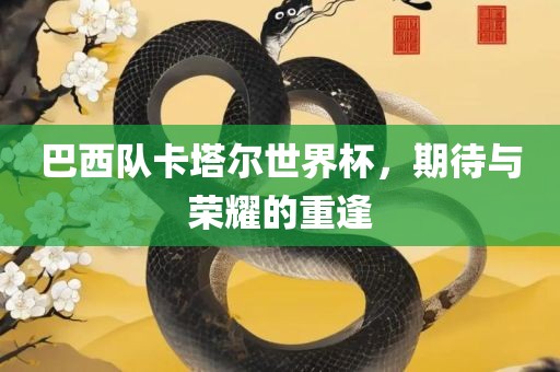 巴西队卡塔尔世界杯，期待与荣耀的重逢眉山市正发家政服务有限公司