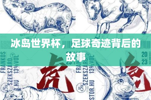 冰岛世界杯，足球奇迹背后的故事