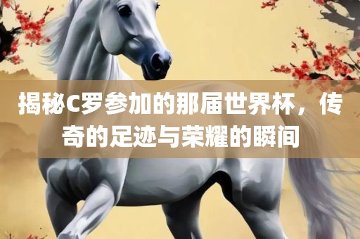 揭秘C罗参加的那届世界杯，传奇的足迹与荣耀的瞬间眉山市正发家政服务有限公司