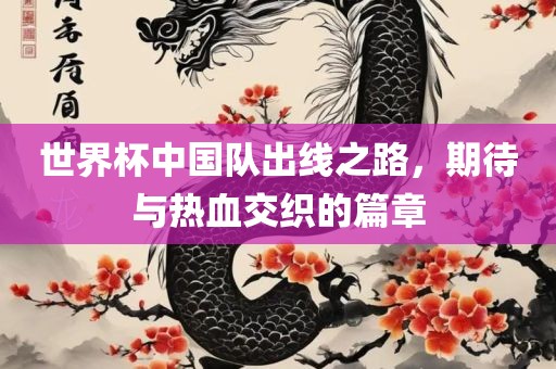 世界杯中国队出线之路，期待与热血交织的篇章眉山市正发家政服务有限公司