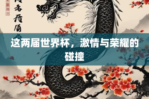 这两届世界杯，激情与荣耀的碰撞眉山市正发家政服务有限公司