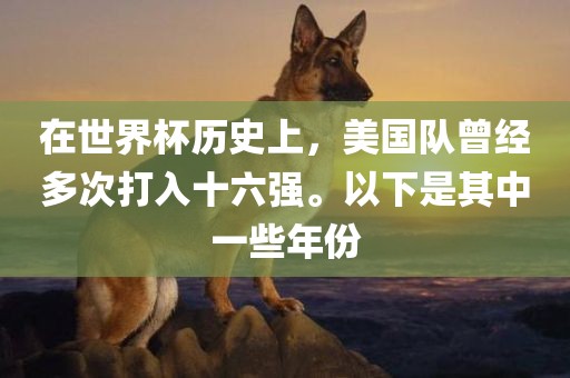 在世界杯历史上，美国队曾经多次打入十六强。以下眉山市正发家政服务有限公司是其中一些年份