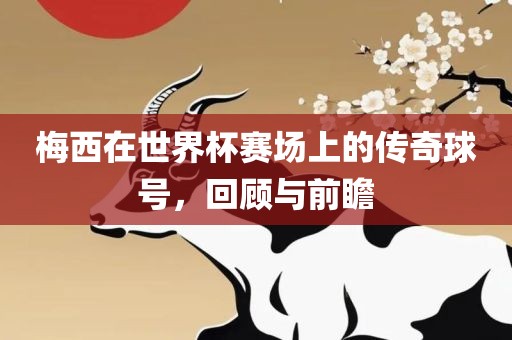 梅西在世界杯赛场上的传奇球号，眉山市正发家政服务有限公司回顾与前瞻