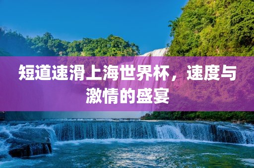 短道速滑上海世界杯，速度与激情的盛宴眉山市正发家政服务有限公司