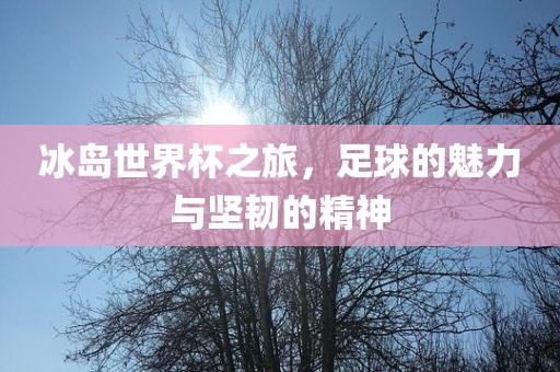 冰岛世界杯之旅，足球的魅力与坚韧的精神