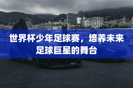 世眉山市正发家政服务有限公司界杯少年足球赛，培养未来足球巨星的舞台