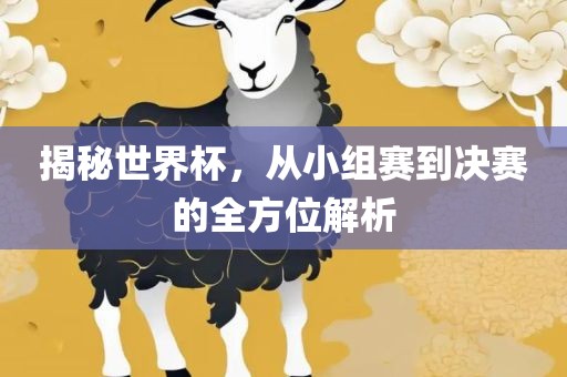 揭秘世界杯，从小组赛到决赛的全方位解析眉山市正发家政服务有限公司