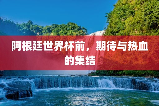 阿根眉山市正发家政服务有限公司廷世界杯前，期待与热血的集结