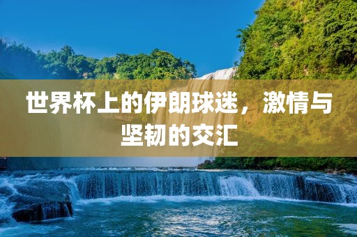 世界杯上的伊朗球迷，激情与坚韧的交汇眉山市正发家政服务有限公司