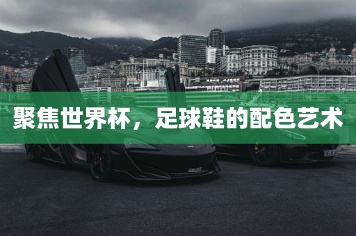 聚焦世界杯，足球鞋的配色艺术眉山市正发家政服务有限公司