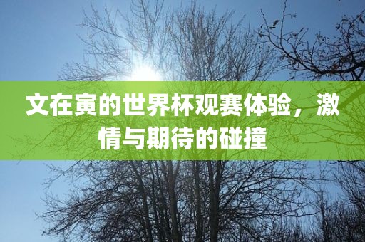 文在寅的世界杯观赛体验，眉山市正发家政服务有限公司激情与期待的碰撞