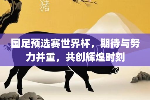 国足预选赛世界杯，期待与努力并重，共创辉煌时刻眉山市正发家政服务有限公司