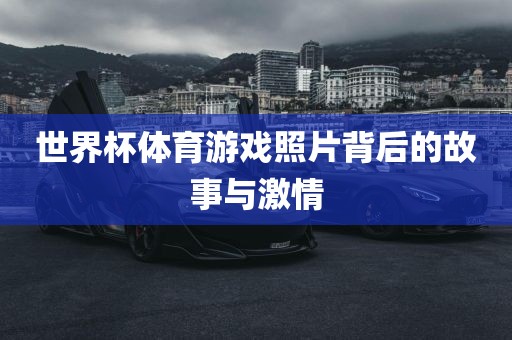 世界杯体育游戏照片背后的故事与激情眉山市正发家政服务有限公司