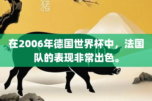 在2006年眉山市正发家政服务有限公司德国世界杯中，法国队的表现非常出色。