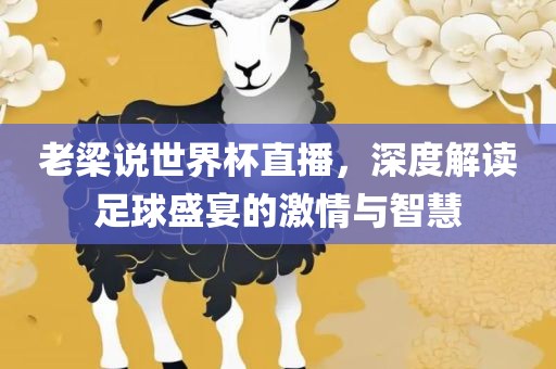 老梁说世界杯直播，深度解读足球盛宴的激情与智慧