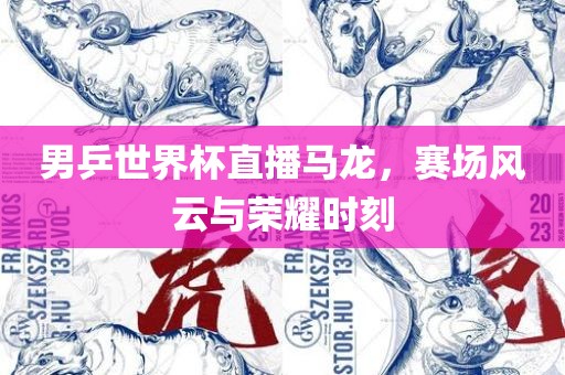 男乒世界杯直播马龙，赛场风云与荣耀时刻眉山市正发家政服务有限公司