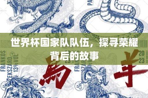 世界杯国家队队伍，探寻荣耀背后的故事