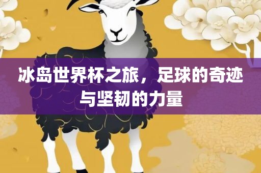 冰岛世界杯之旅，足球的奇迹与坚韧的力量