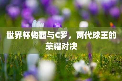 世界杯梅西与C罗，两代球王的荣耀对决眉山市正发家政服务有限公司