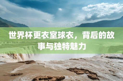 世界杯更衣室球衣，背后的故事与独特魅力眉山市正发家政服务有限公司