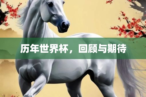 历年世界杯，眉山市正发家政服务有限公司回顾与期待